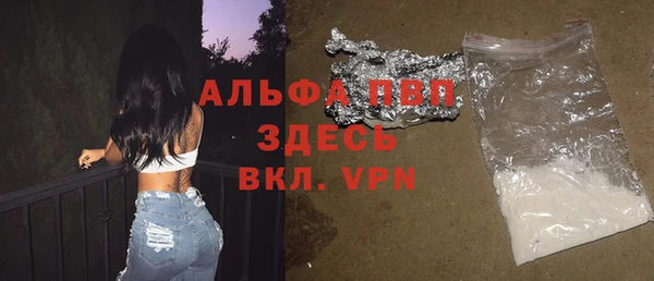 индика Богданович