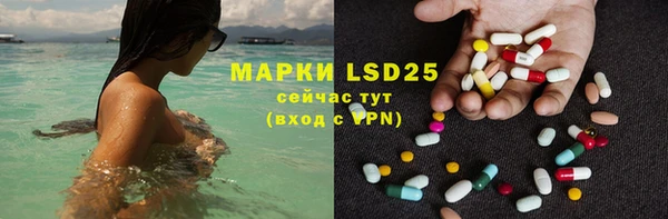 индика Богданович