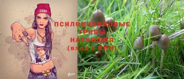 мдма Богородицк