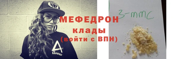 индика Богданович