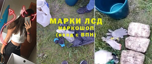 индика Богданович