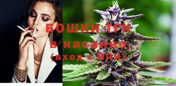 индика Богданович
