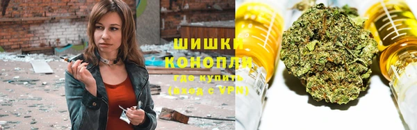 индика Богданович