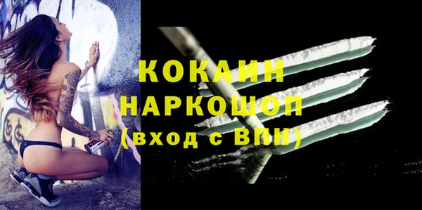 индика Богданович