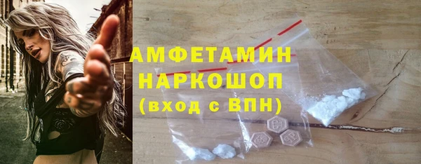 индика Богданович
