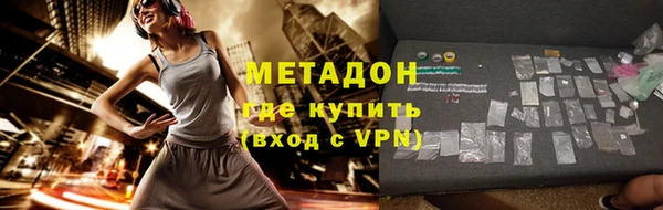 индика Богданович